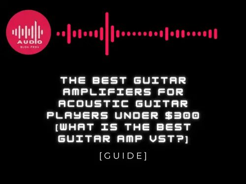 The Best Guitar Amplifiers for Acoustic Guitar Players Under $300 [What is the best guitar amp VST?]