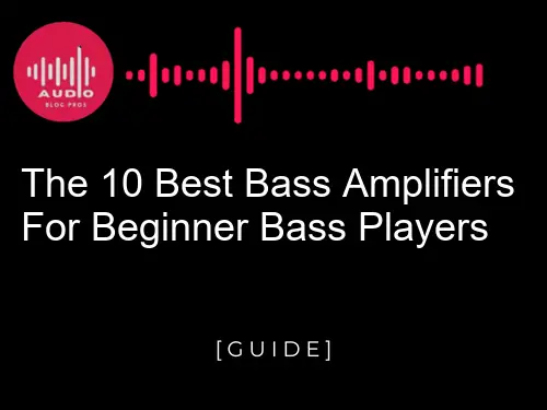 The 10 Best Bass Amplifiers For Beginner Bass Players