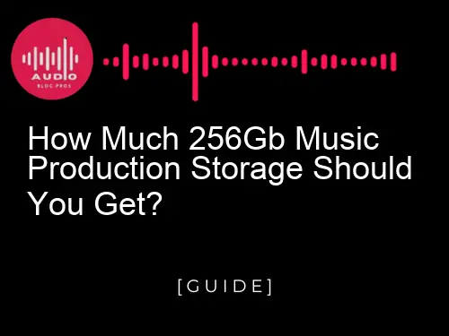 How Much 256GB Music Production Storage Should You Get?