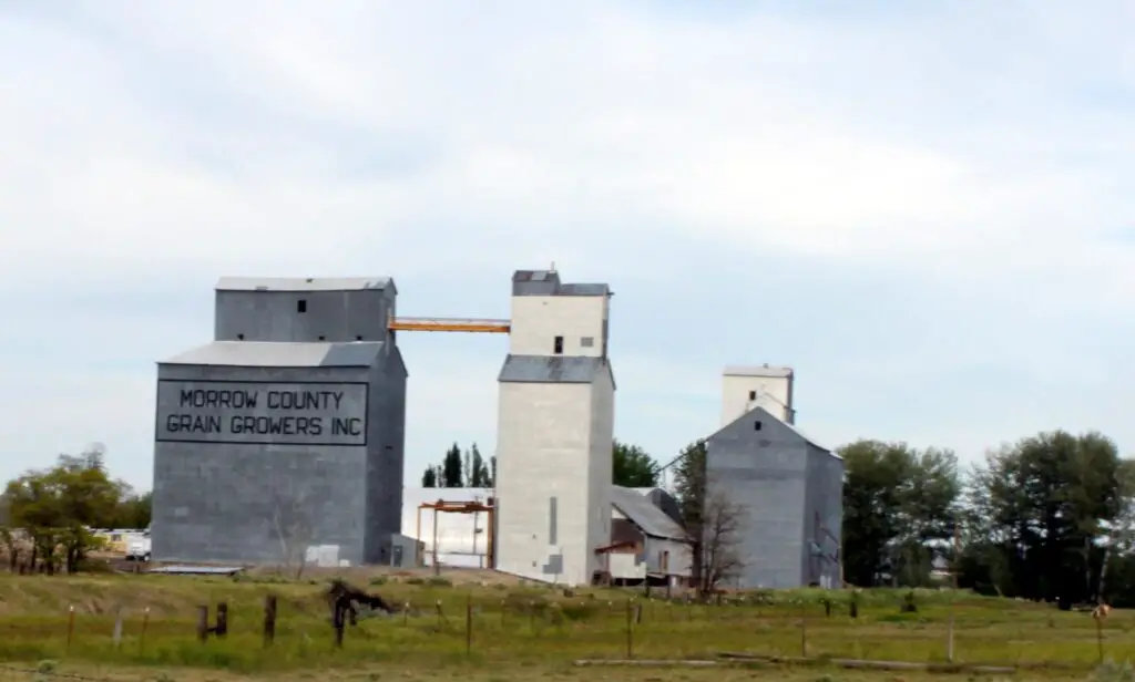 File:Grain elevators in Lexington Oregon.jpg - Image of Music Production, elevate